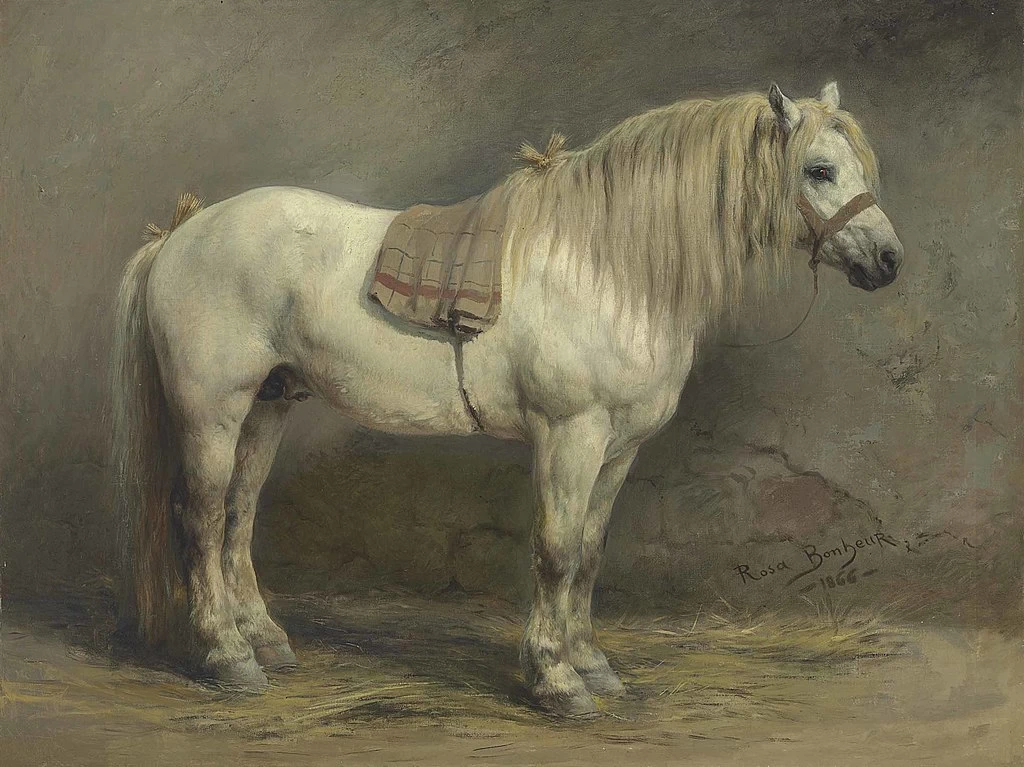 Cavallo bianco